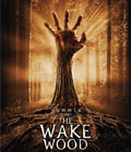 Wake Wood Online Film / Вейквуд Смотреть Онлайн Фильм